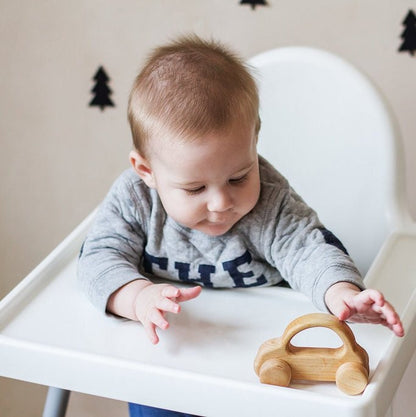 Personalized Wood hand push toy car