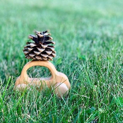 Personalized Wood hand push toy car